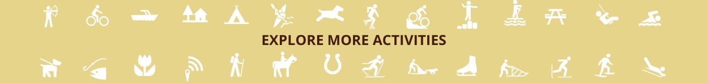 Explore More Activities